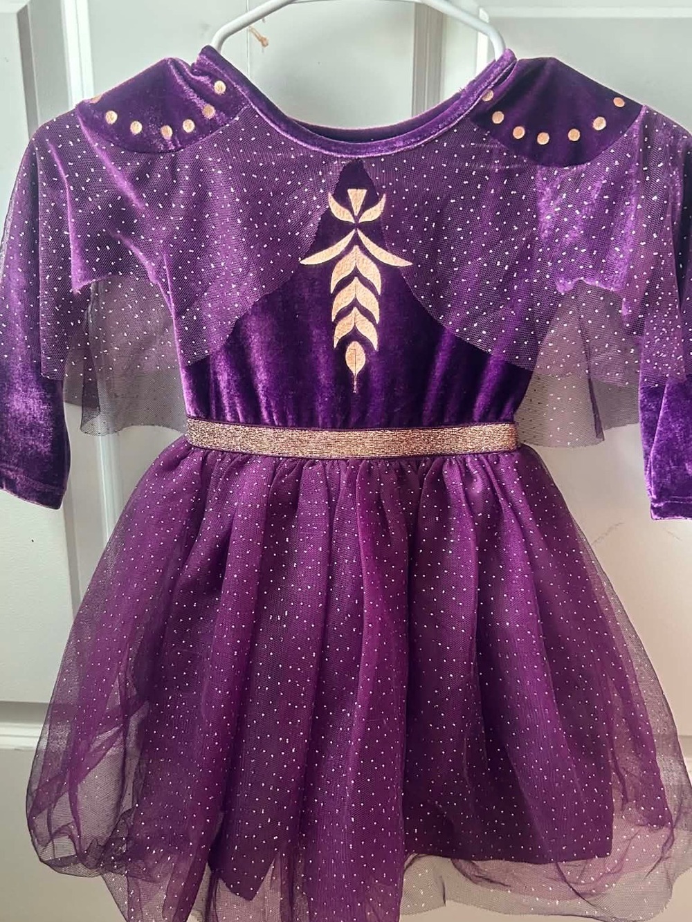 Purple Gold-Accent Girls' Velvet Princess Costume Dress